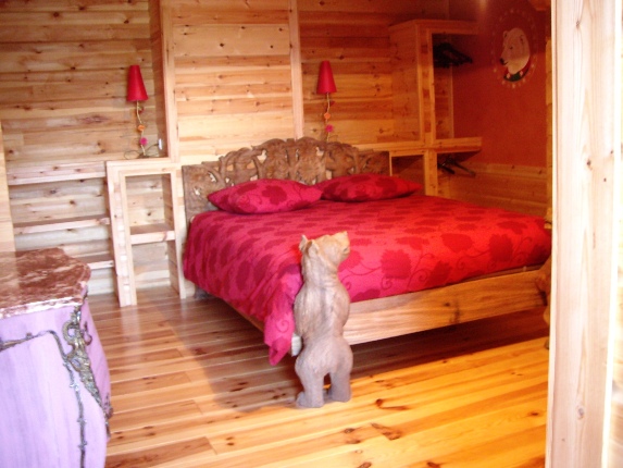 Location La Plagne : La chambre de l'Ours