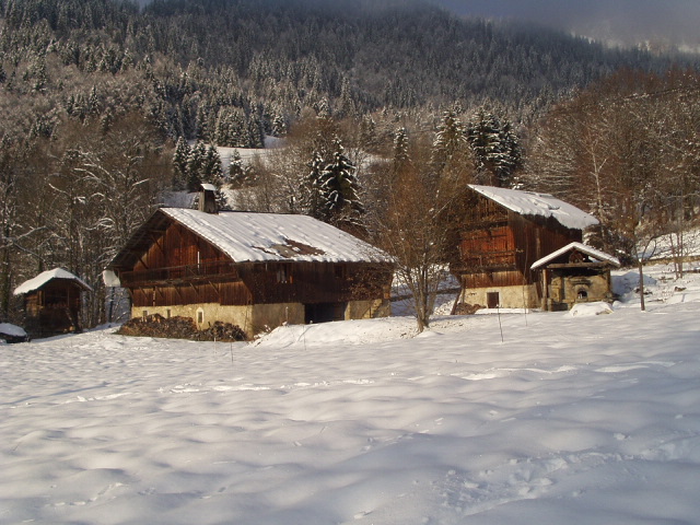 Location Samoens : la propriété