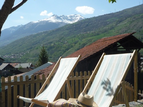 Location Peisey-Nancroix-Vallandry : Jardin