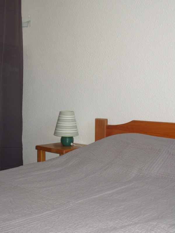 Location Les 2 Alpes :