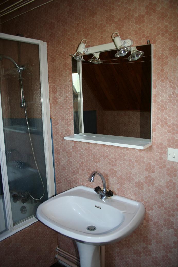 Location Meaudre : Salle de bains avec baignoire et velux