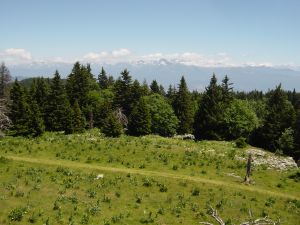 Location Autrans : Autrans l'�t�.