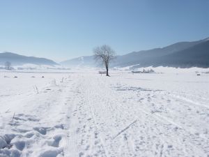 Location Autrans : Autrans l'hiver.